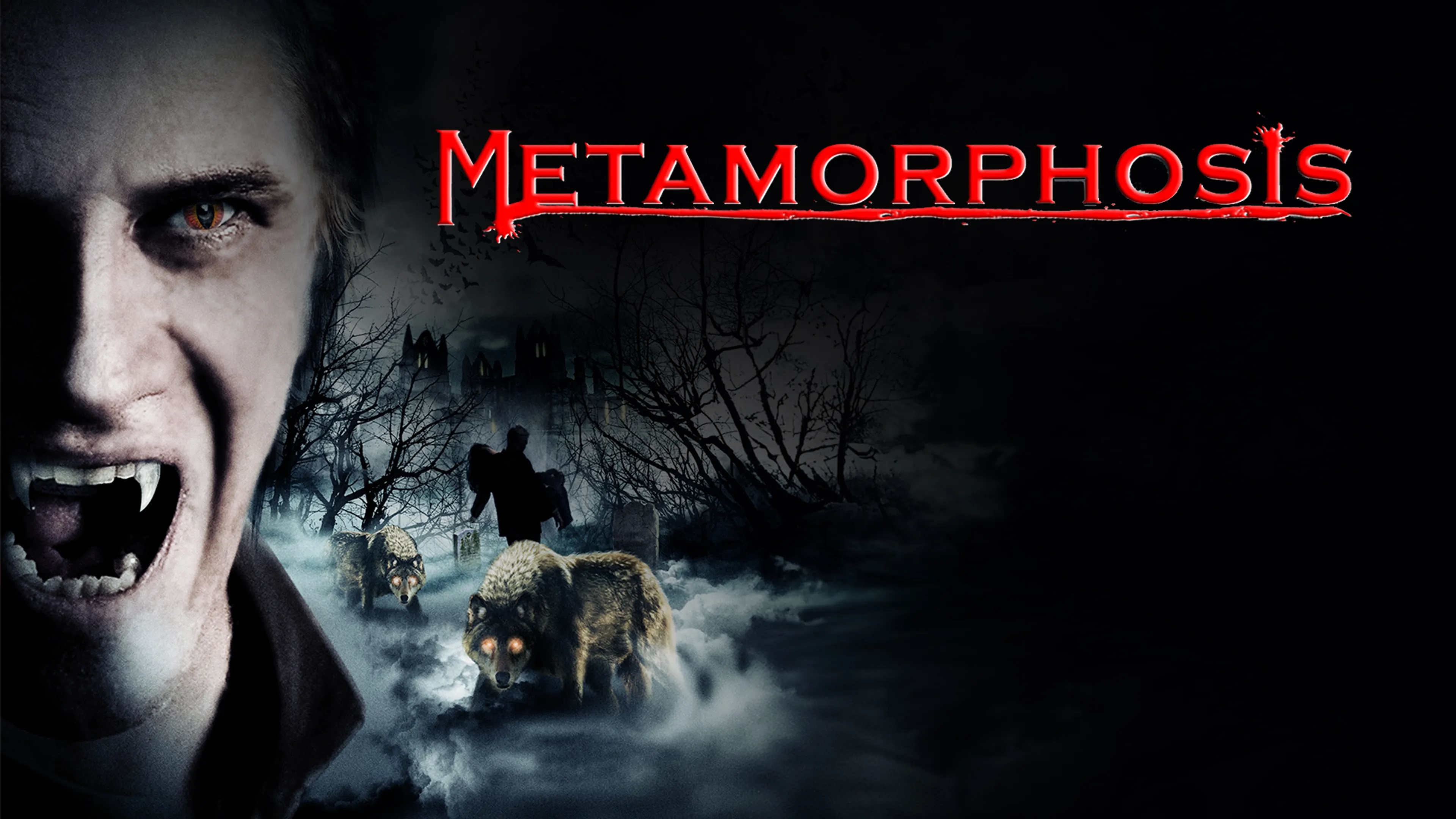 Metamorphosis poster